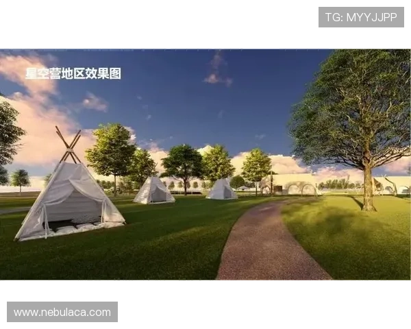 星空足球公园：利用星空景观设计的特色足球场，提升城市夜间运动文化的品质