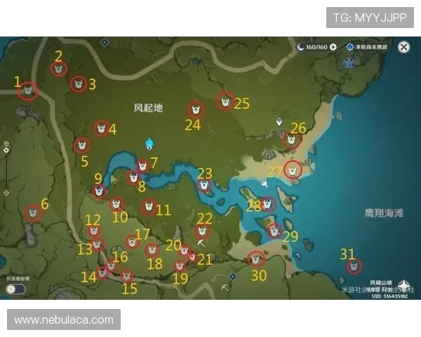 最全星空体育平台app下载解析，让你轻松掌握使用技巧