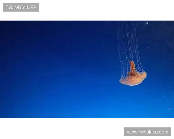 星空体育注册登录入口：便捷快速的注册流程详解