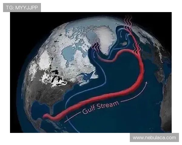 星空体育网站入口优惠活动与促销信息最新动态汇总