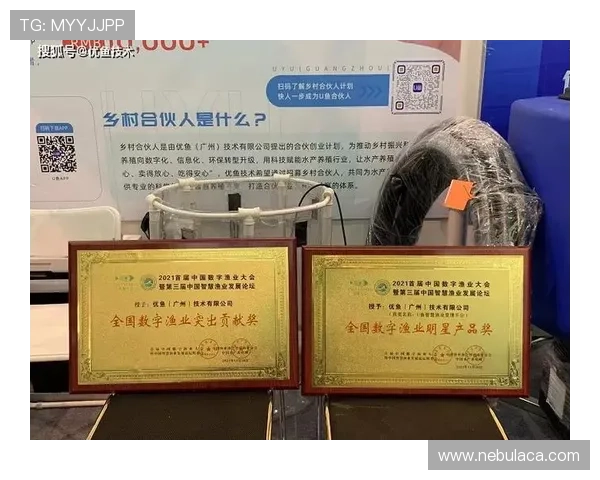 博鱼官网活动最新动态及时掌握赢取丰富奖励的最佳时机