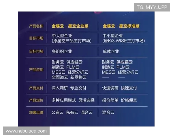 如何通过星空在线注册平台实现企业信息数字管理的高效转型