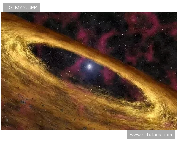 星空体育官方网站登录大小事，掌握登录流程轻松游刃有余