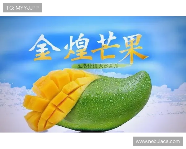 芒果体育:最新赛事资讯与精彩赛事回顾为你全面呈现 芒果体育:最新赛事资讯与精彩赛事回顾为你全面呈现